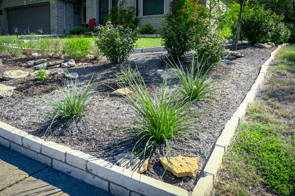 native landscaping