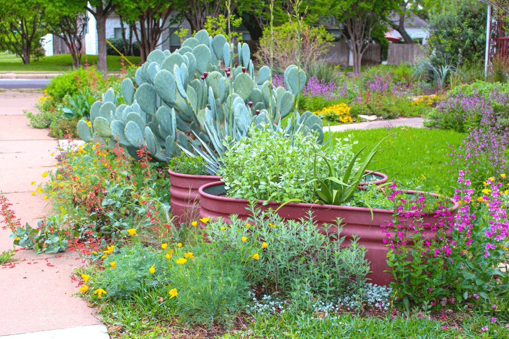 native landscaping