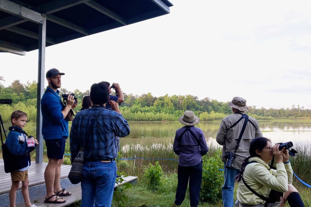 Birding, local expos: 5 events happening in The Woodlands area, May 1-3