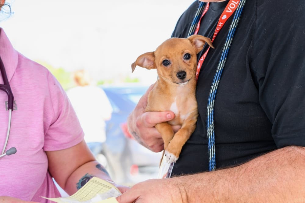 Nonprofits, county rally to serve animals in East Montgomery County