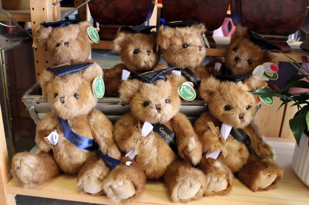 Multiple teddy bears wearing graduation caps displayed on a retail shelf. 