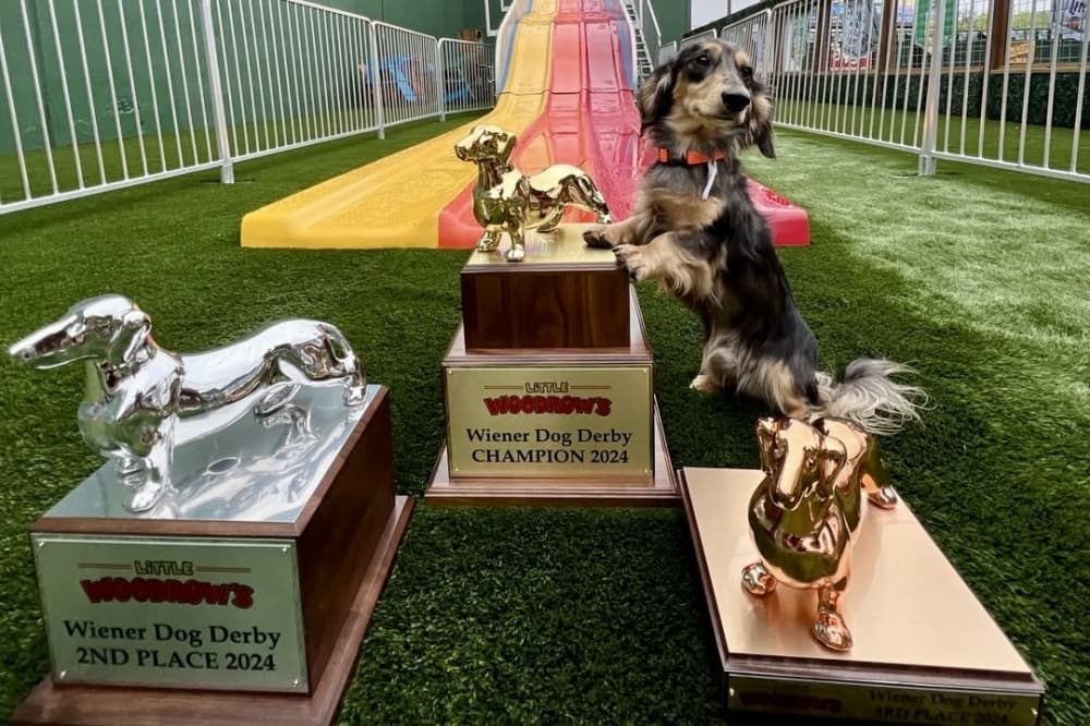 County Fair, Weenie Derby: 8 events to keep an eye out for in the Bay Area