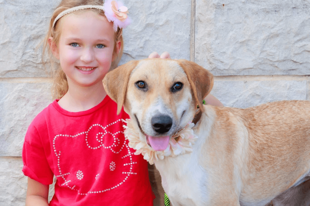 A young girl poses with a dog with a matching flower.