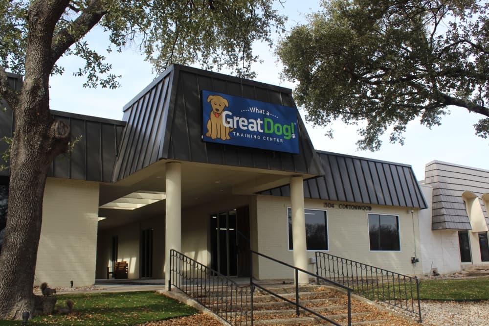 What a Great Dog! Training Center now open in Richardson