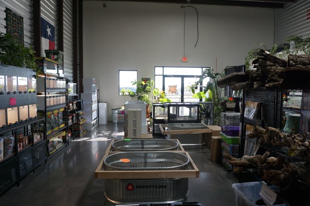 Wide view of an exotic pet store interior with animal enclosures, supplies, plants and natural lighting near the entrance.