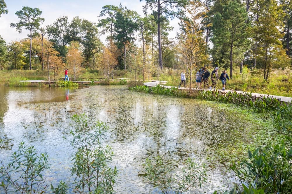 Houston Arboretum to provide free parking one Sunday per month 