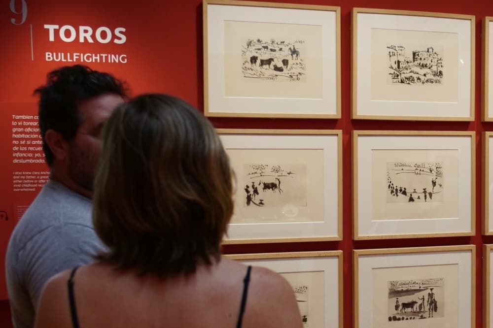 New Round Rock-Europe agreement could bring Picasso programming to city