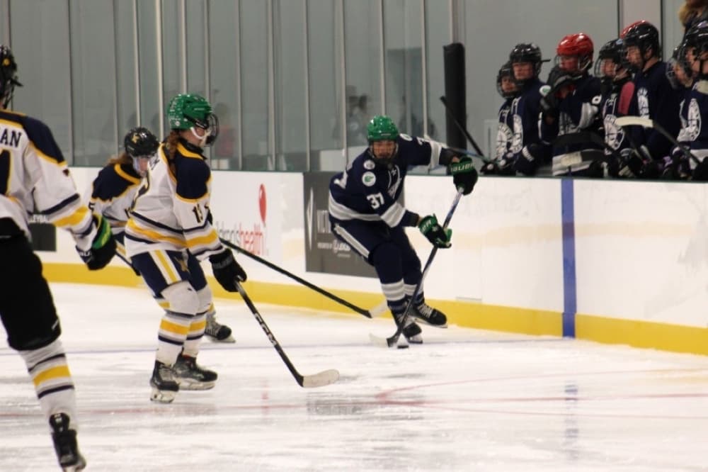 hockey players on ice