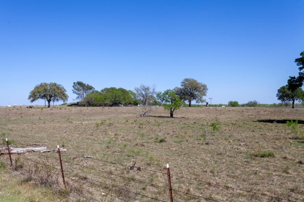 Check out these top 5 stories from March 30-April 2 in the San Antonio metro area