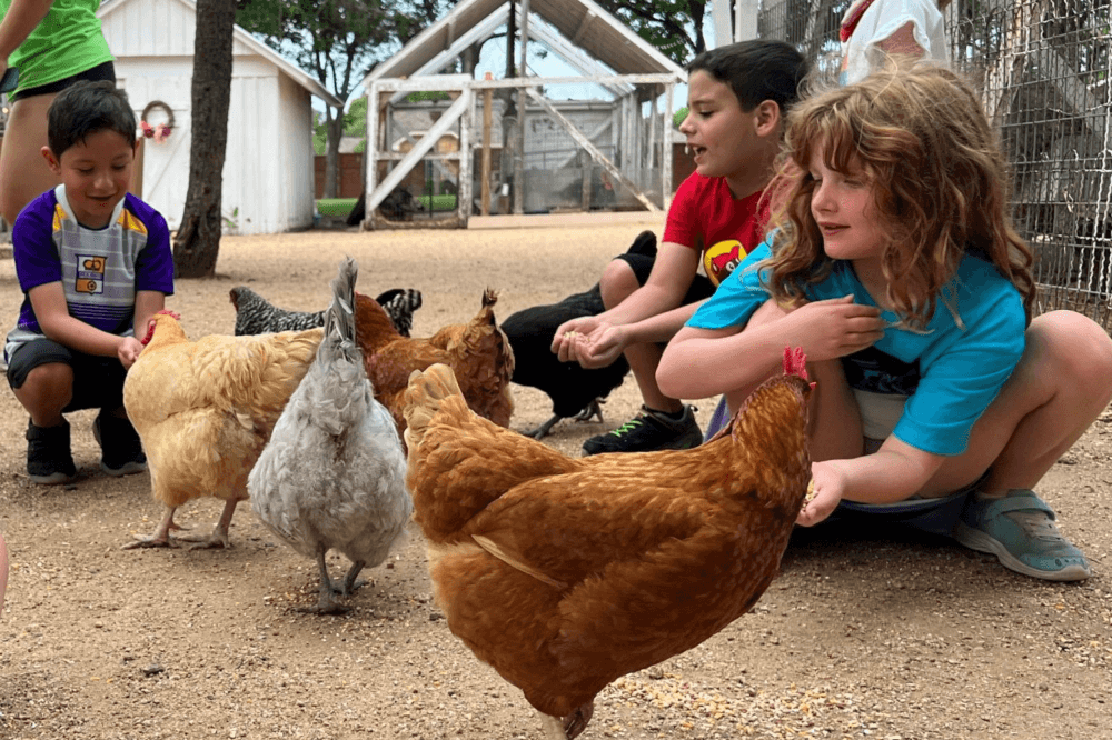 4 ways to escape the city and step back in time at Heritage Farmstead