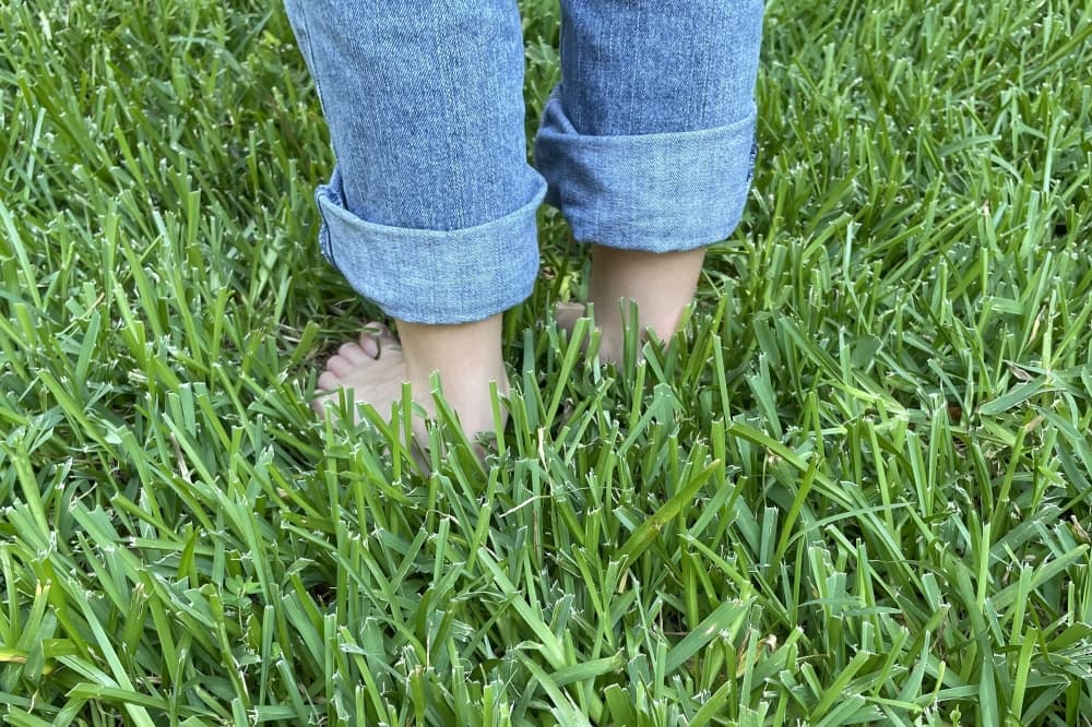 Fertilizer at Thrive Fertilizing is made in house with organic nontoxic ingredients. (Courtesy Thrive Fertilizing)