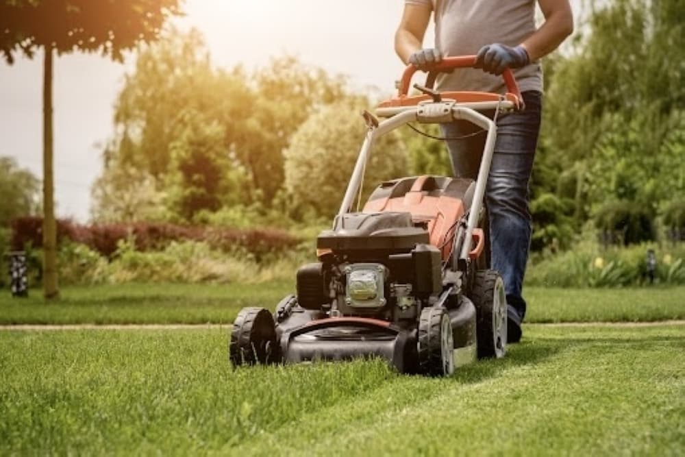 Missouri City property owners now required to maintain grass and weeds in public rights of way
