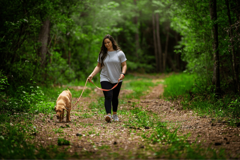 All Trails Lead Home Tour returns to The Highlands: Explore, tour and win through April 30