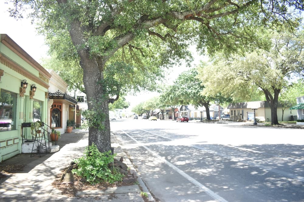 Tomball reviews $1.55M tree plan for Main Street project