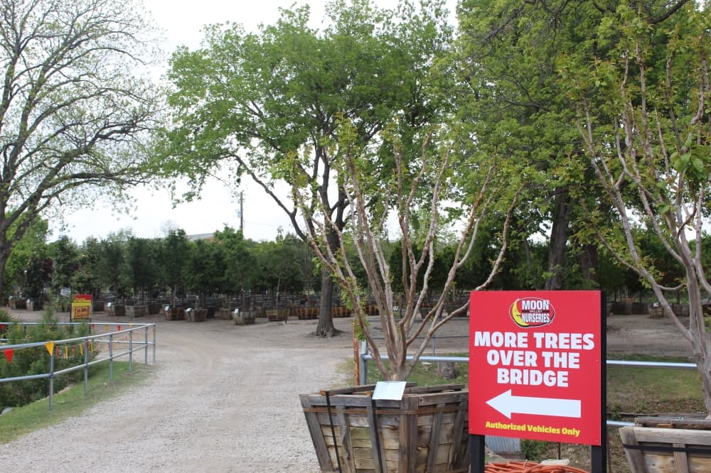 Moon Valley Nurseries is now open in Frisco at 7401 Coit Road. (Jacquelyn Burrer/Community Impact)