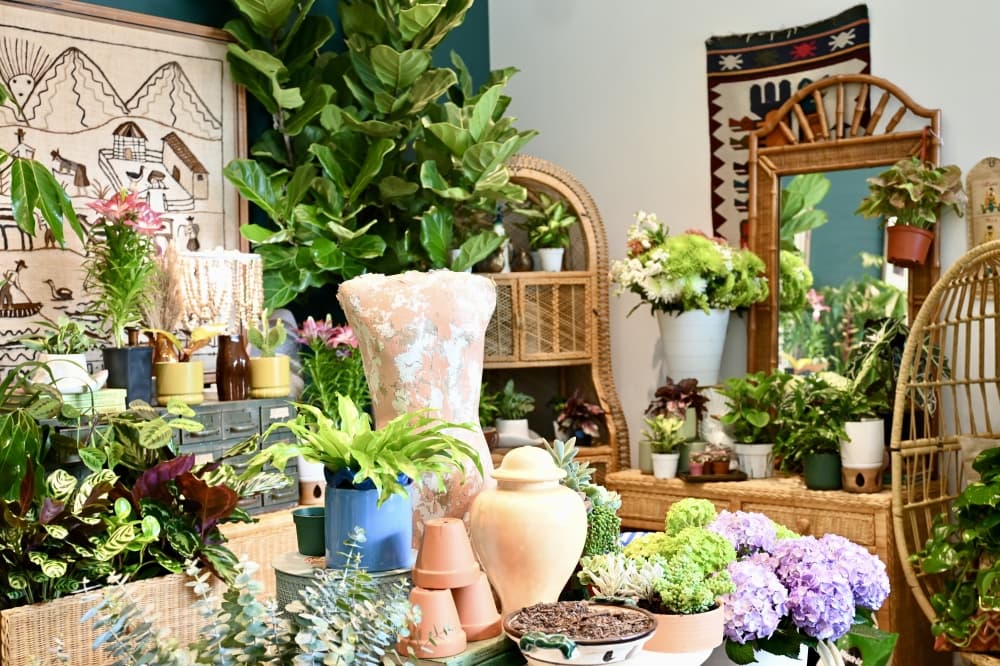 Clarke founded The Plant Project after writing a blog post about Black-owned plant shops in the area and realizing there were none. (Roo Moody/Community Impact)