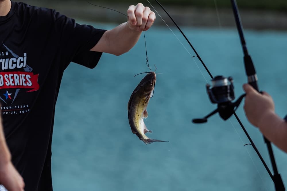 Neighborhood Fishin' program bringing catfish, rainbow trout to local lakes