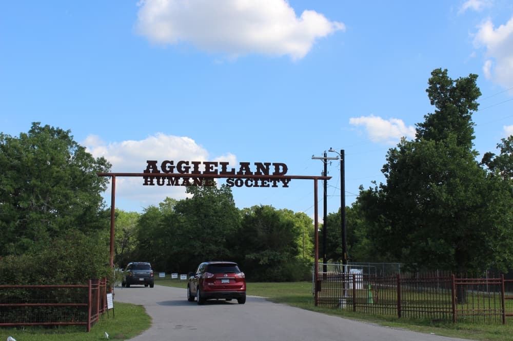 More than a shelter: Aggieland Humane Society provides safety net for local pets