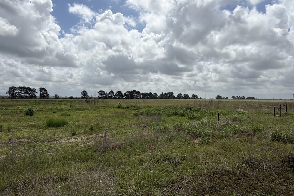 The Katy Prairie Preserve is nearly 20,000 acres and over 13 times the size of Memorial Park. (Bradley Dountz/Community Impact)