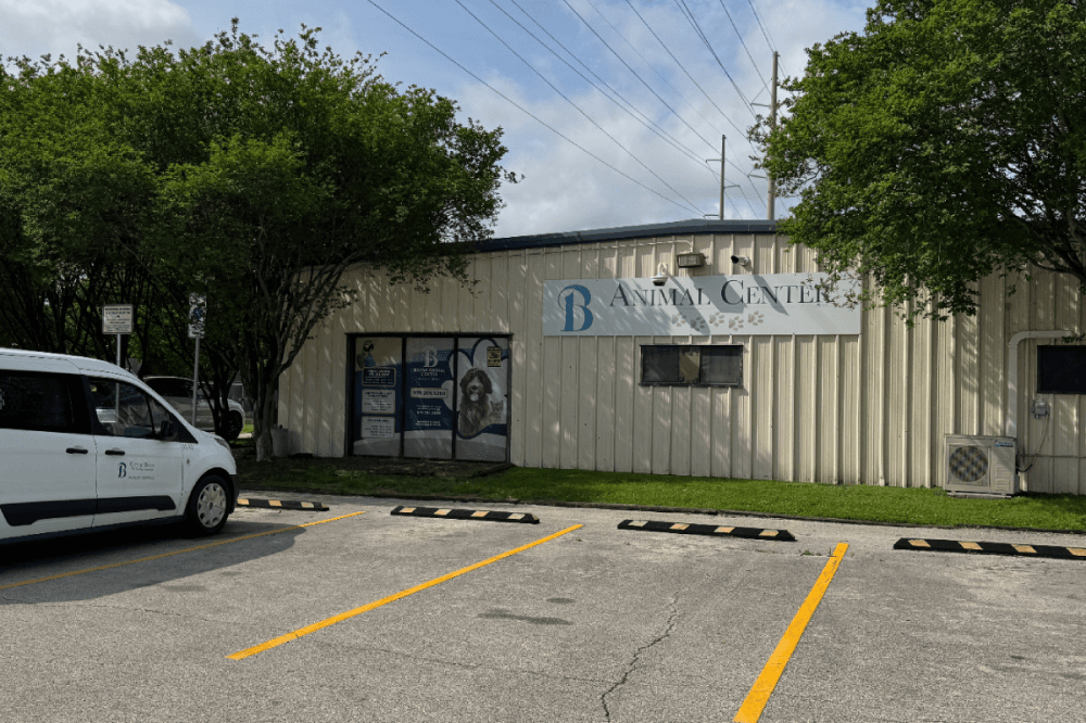 Bryan City Council unanimously approved a $525,000 agreement with Jackson & Ryan Architects to design the new city of Bryan Animal Shelter. (Karley Cross/Community Impact)