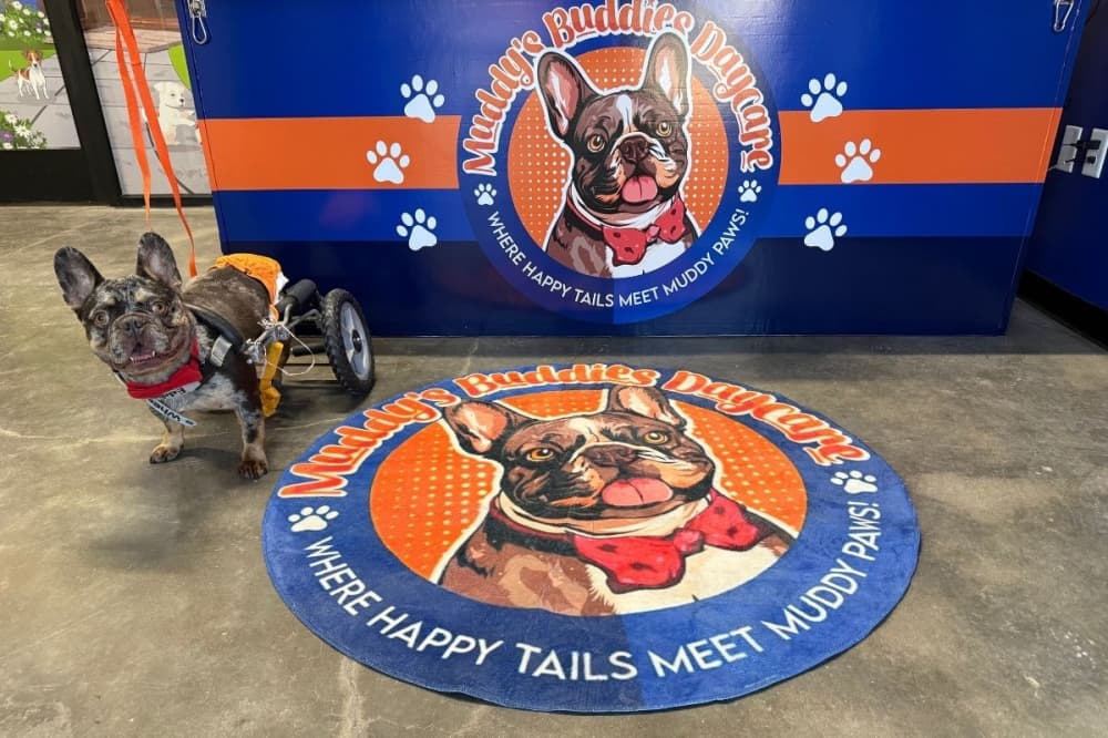 Muddy’s Buddies Daycare & Boarding now open along Hufsmith-Kohrville