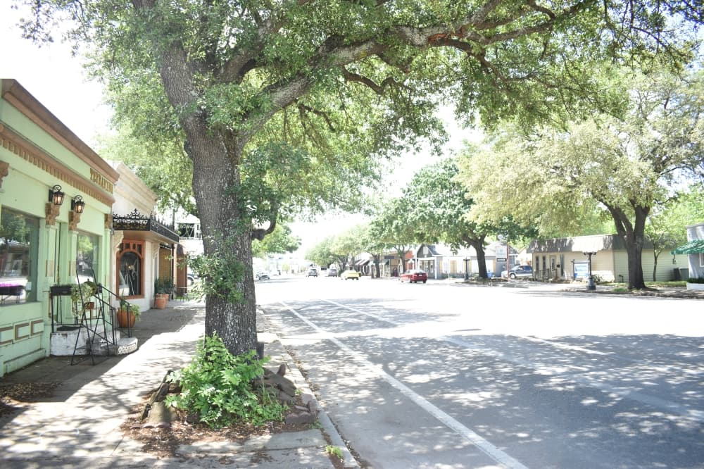 Tomball City Council approves $1.5M contract regarding trees lining Main Street