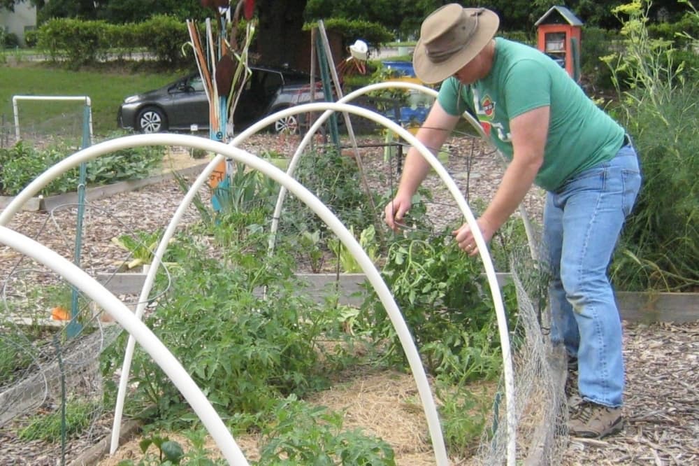 Earth Day, art festivals: Check out 5 local events to attend in the Dallas-Fort Worth area April 24-26