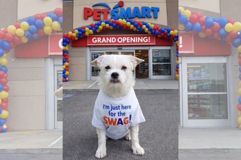 PetSmart opens early at Bastrop’s Burleson Crossing East
