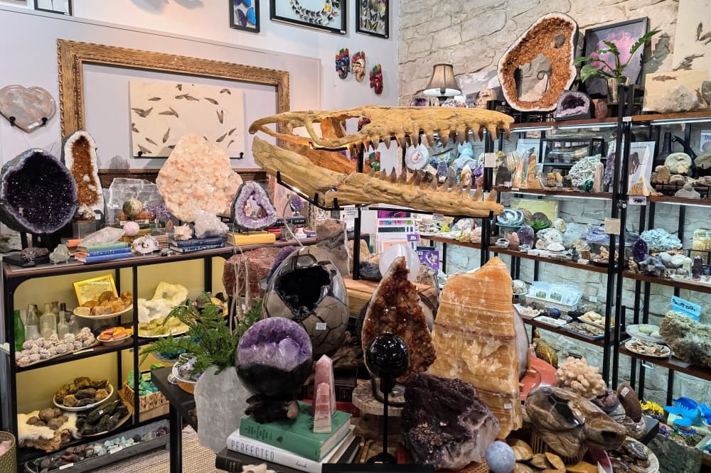 UnEarthed offers crystals, fossils and more in Round Rock