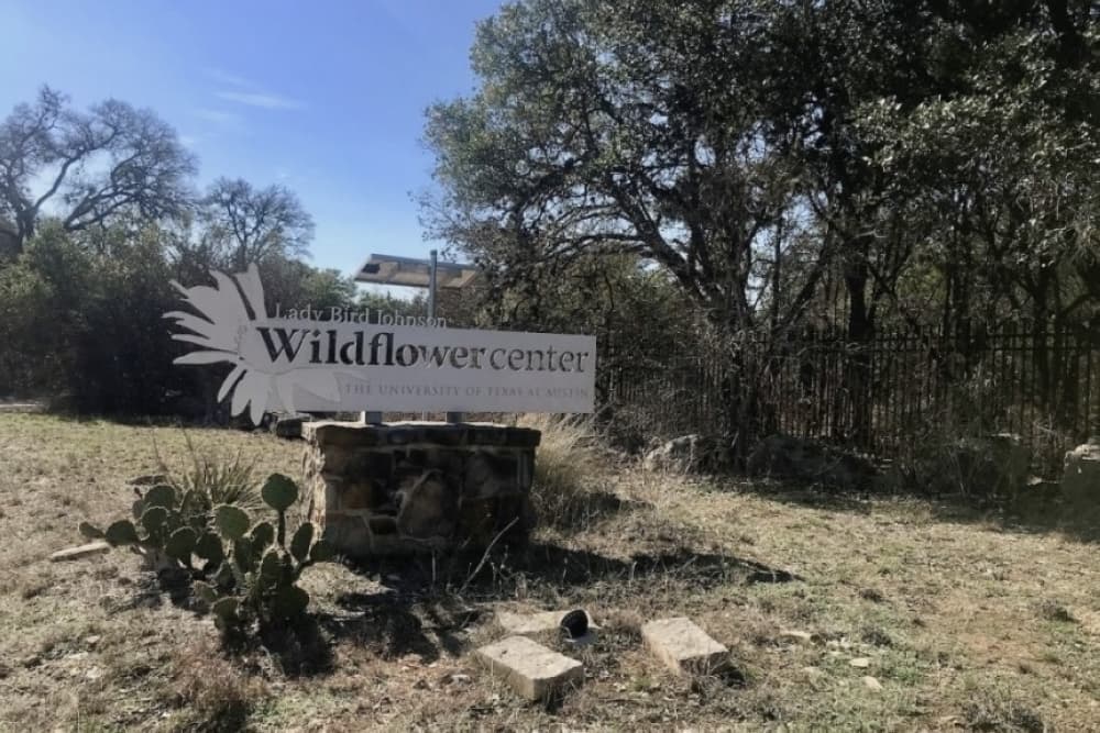 Wildflower Café temporarily closed for renovations