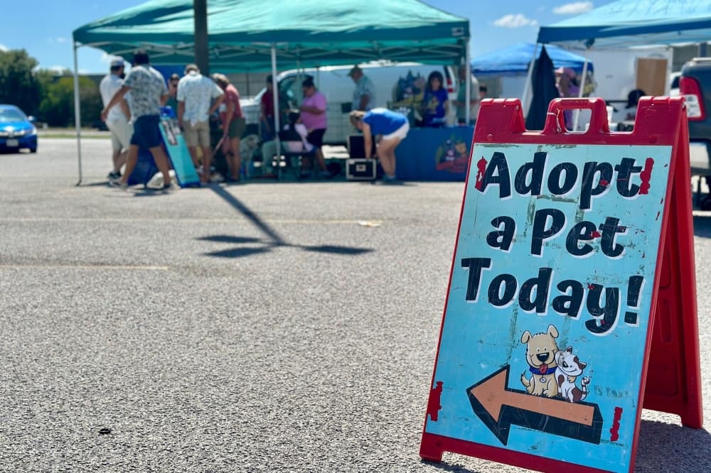 Bastrop County animal shelter seeks help as it hits capacity