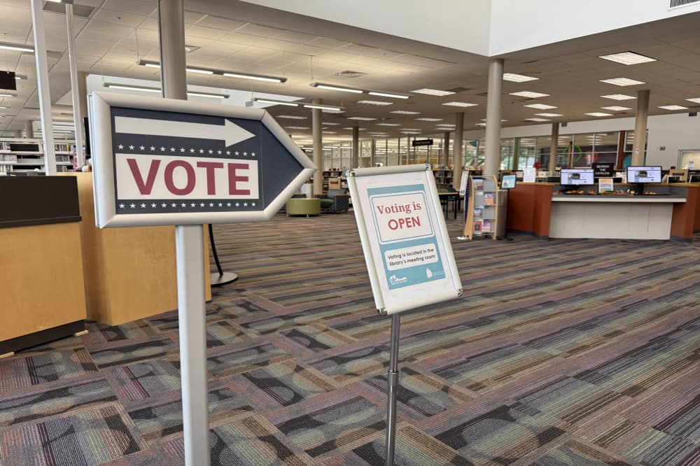 ICYMI: See where to vote on election day, meet the candidates running for Denton City Council, Denton ISD