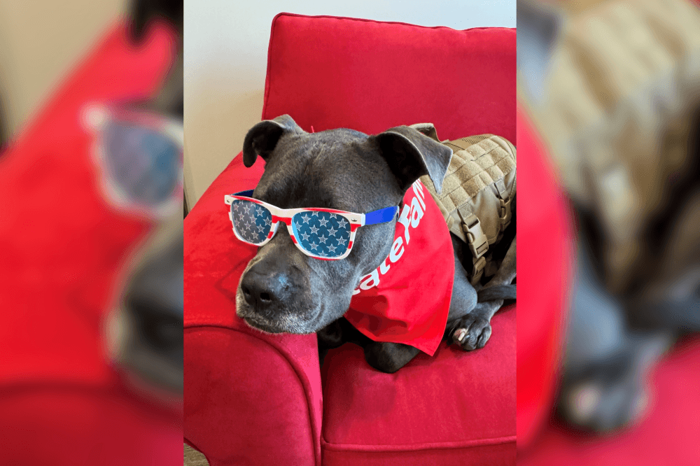 monica story's dog