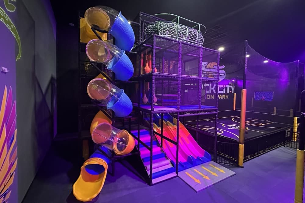 the jungle gym