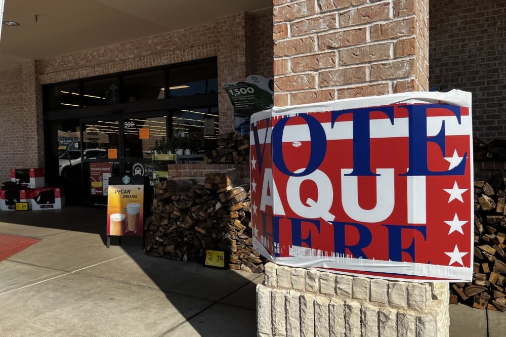See voting results for West Lake Hills council, Briarcliff alderman elections