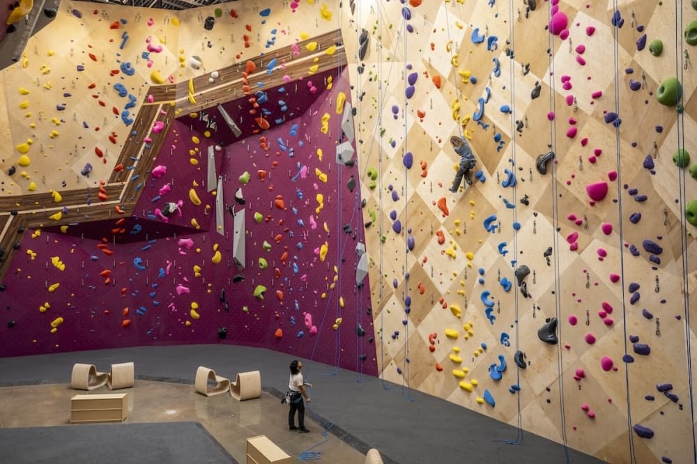 Two partners rope climbing