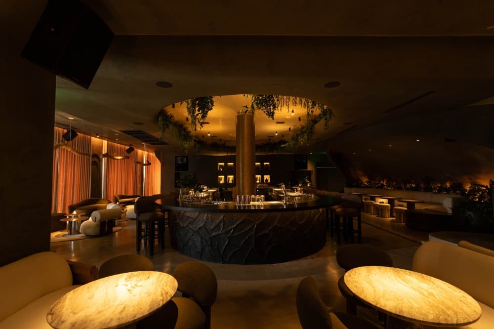 New modern cocktail bar inspired by Mexico City debuts in Montrose