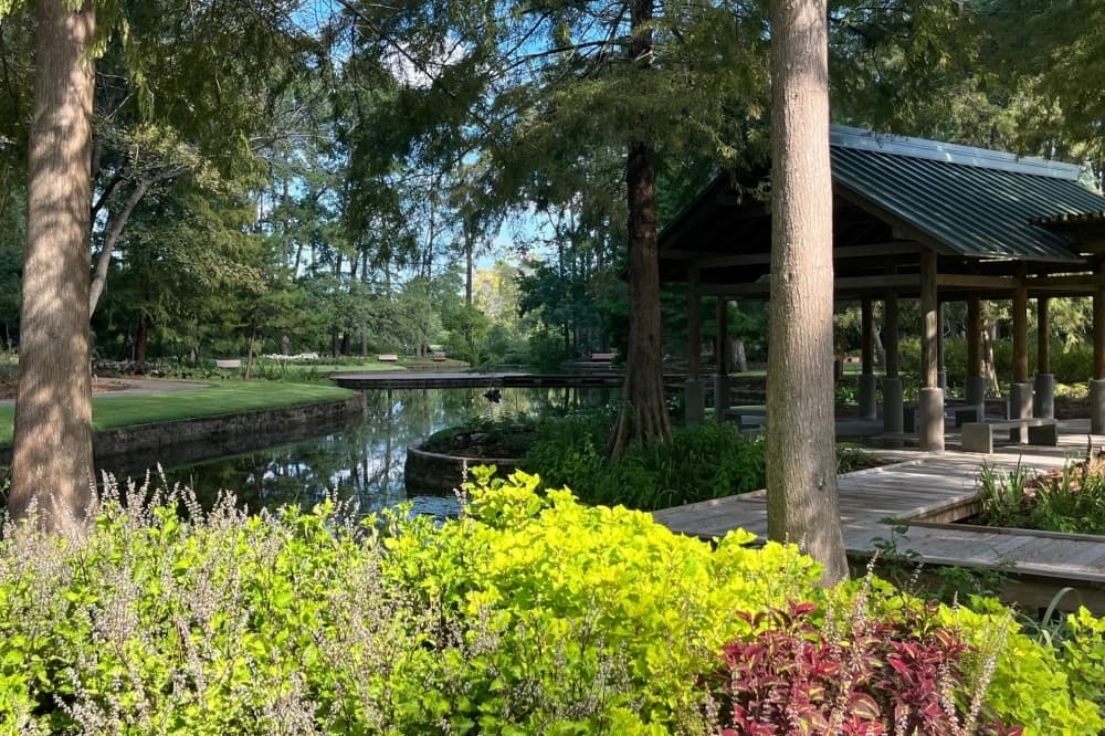 Music & Motors, Tai Chi: 4 Lake Houston-area events to attend this weekend, May 8-10