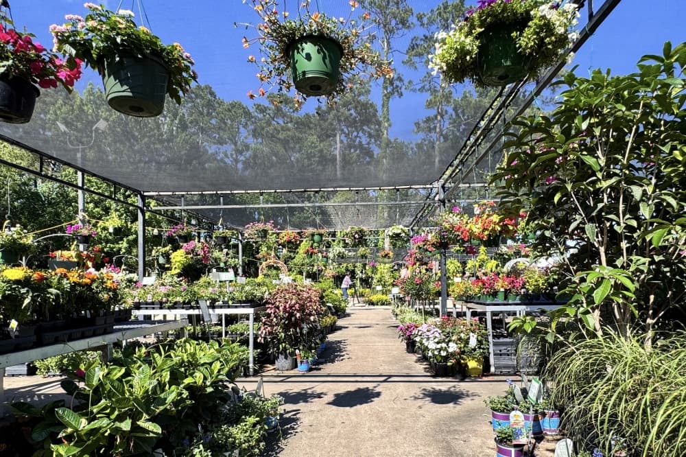 Plants for all Seasons rebrands to Fidelity Garden Center on Louetta