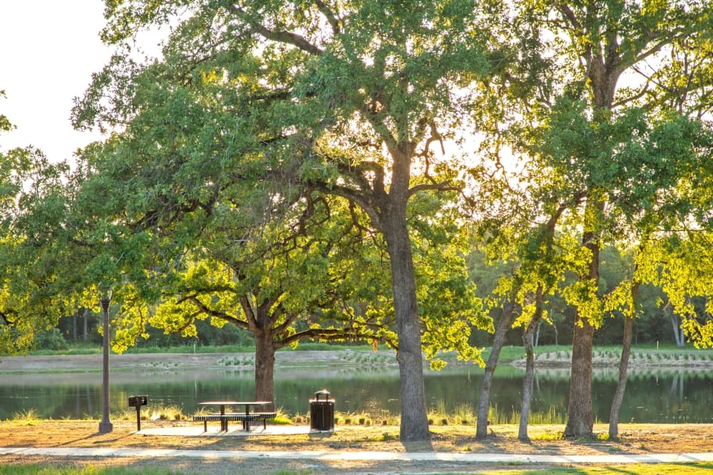 trees at caldwell communities