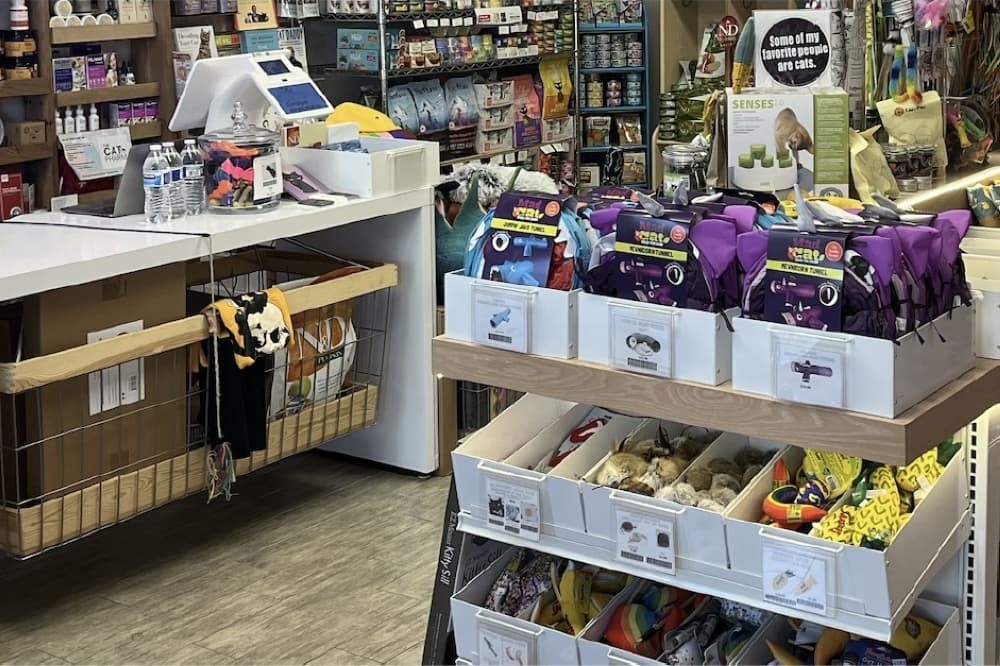 The Kitty Bodega relocates to new spot