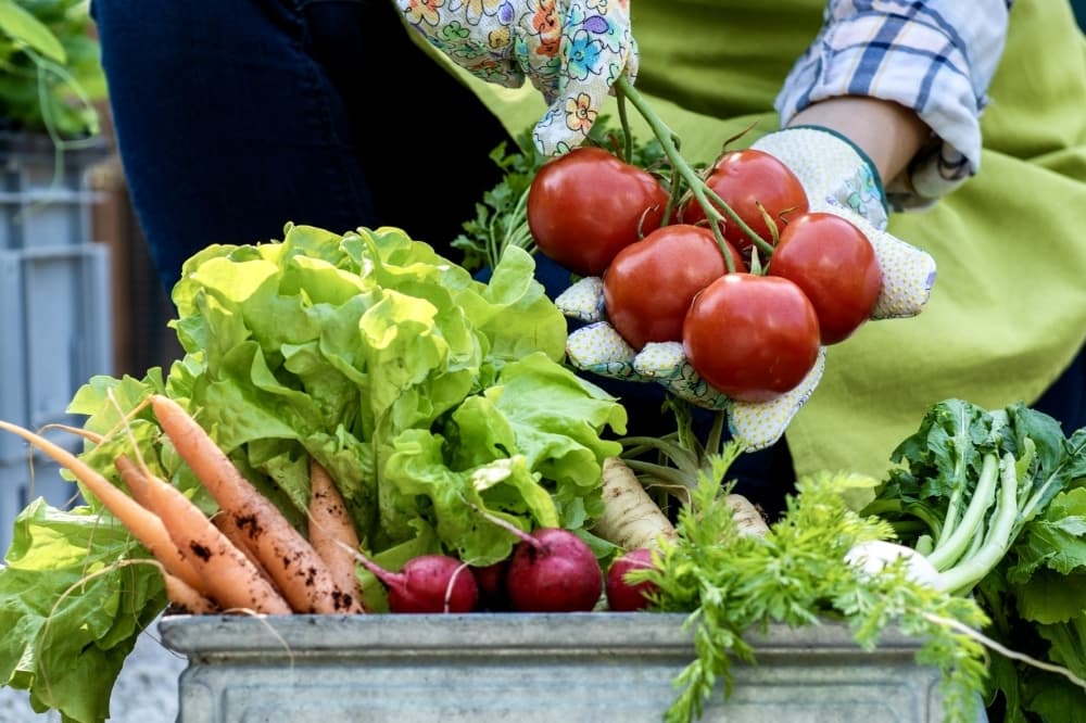 Sabra Farm offers locally grown produce in Magnolia 