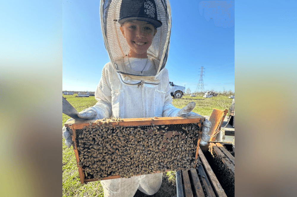 Family-owned beekeepers from Wild Honey Box loading honey bee colonies onto trucks in Texas at sunset