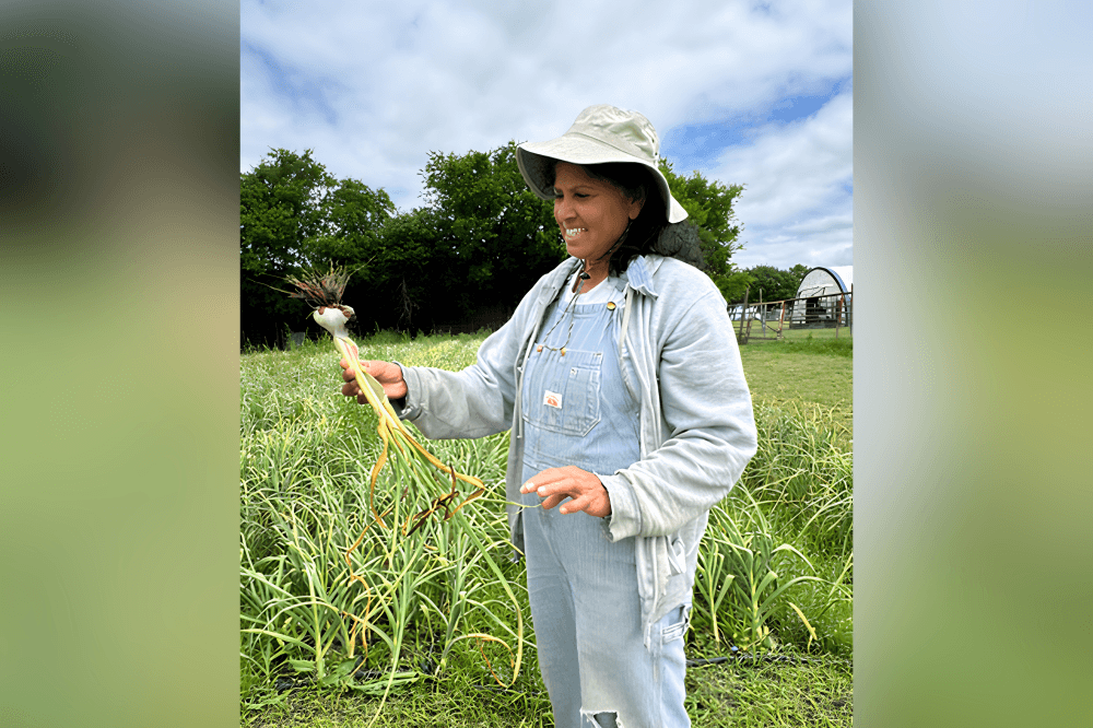 Fresh baked bread, produce, and artisan goods available at Roanoke farmers market pickup