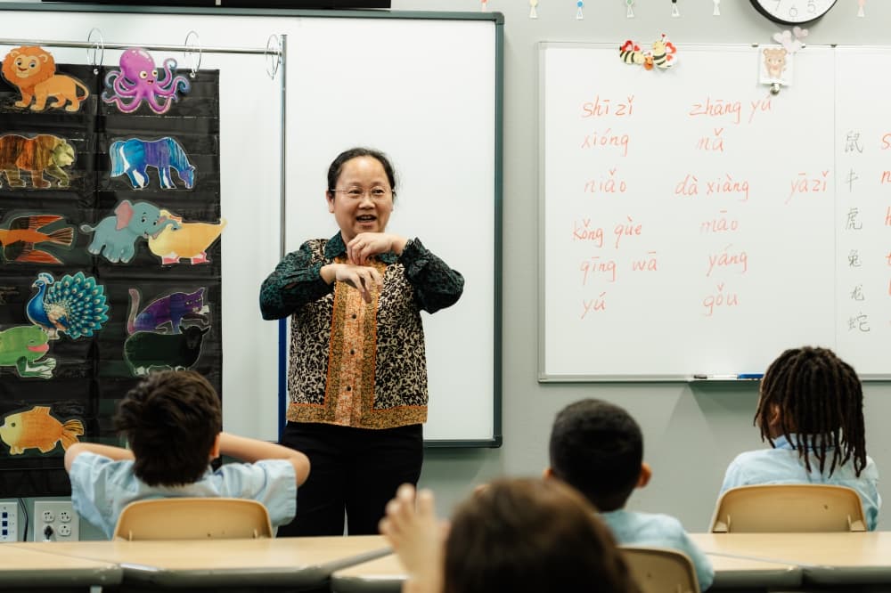teacher teaching