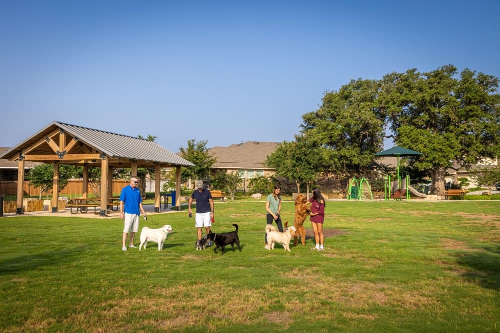 people talking with their dogs