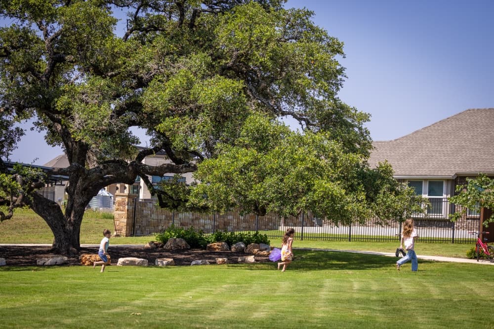 kids playing under a tree