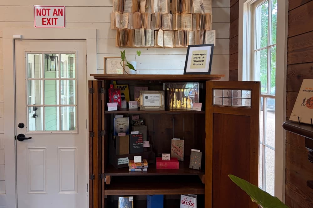 A shot of the rare bookcase in Lioness Books