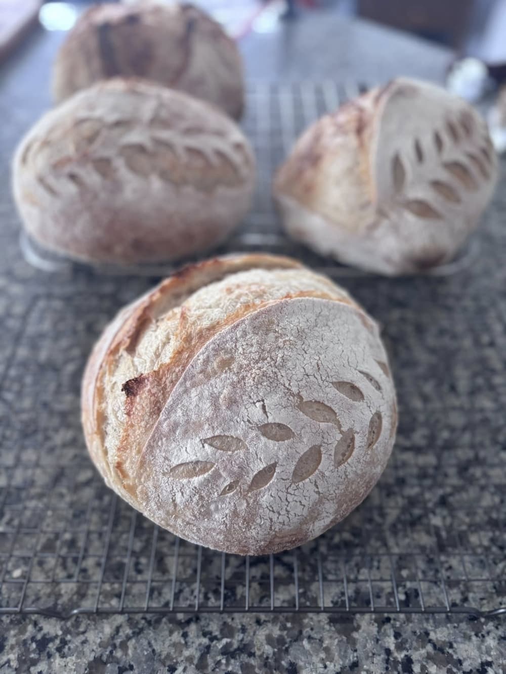 Sourdough loaves with leaf designs cut into the crust