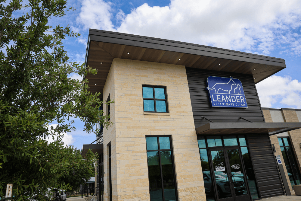 leander vet clinic building exterior